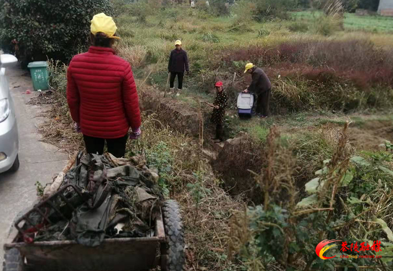 下东街道开展农村人居环境整治“百日行动”