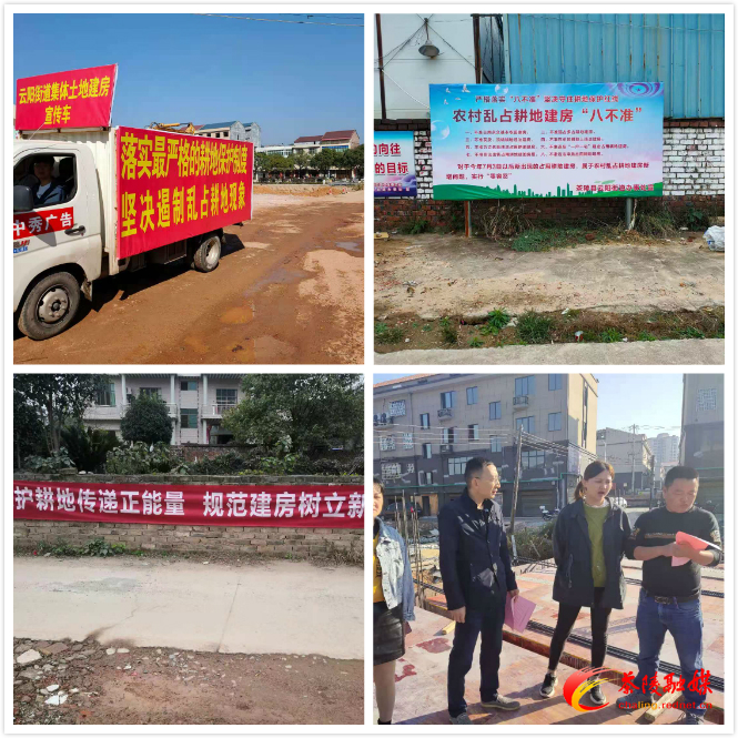 云阳街道:多措并举整治农村乱占耕地建房行为