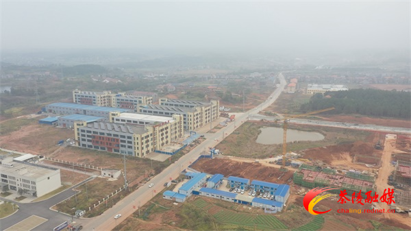 【奋进的2020】戮力同心 项目建设结硕果