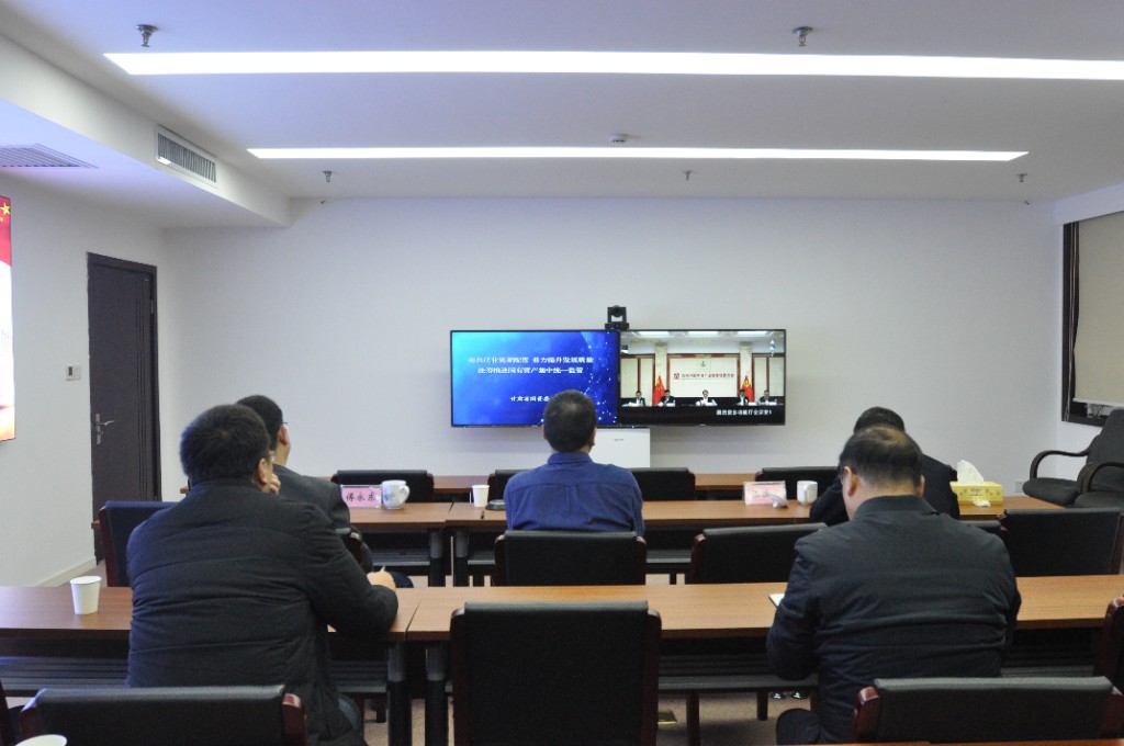 市国资委主要负责同志参加全国国资委系统构建国资监管大格局视频研讨培训班