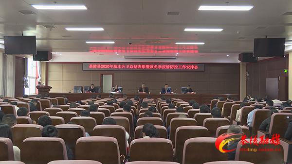 茶陵县2020年基本公卫总结表彰暨秋冬季疫情防控工作安排会召开