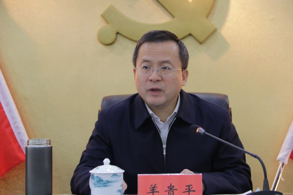 荷塘区召开领导干部大会