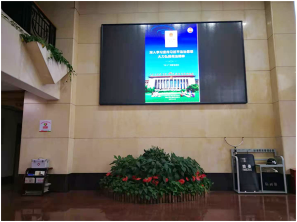 深入学习宣传习近平法治思想 大力弘扬宪法精神——株洲市审计局开展宪法宣传活动