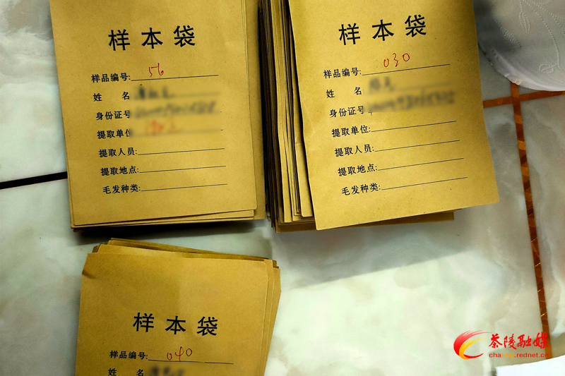 茶陵校车驾驶员涉毒毛发检测完成率达100%
