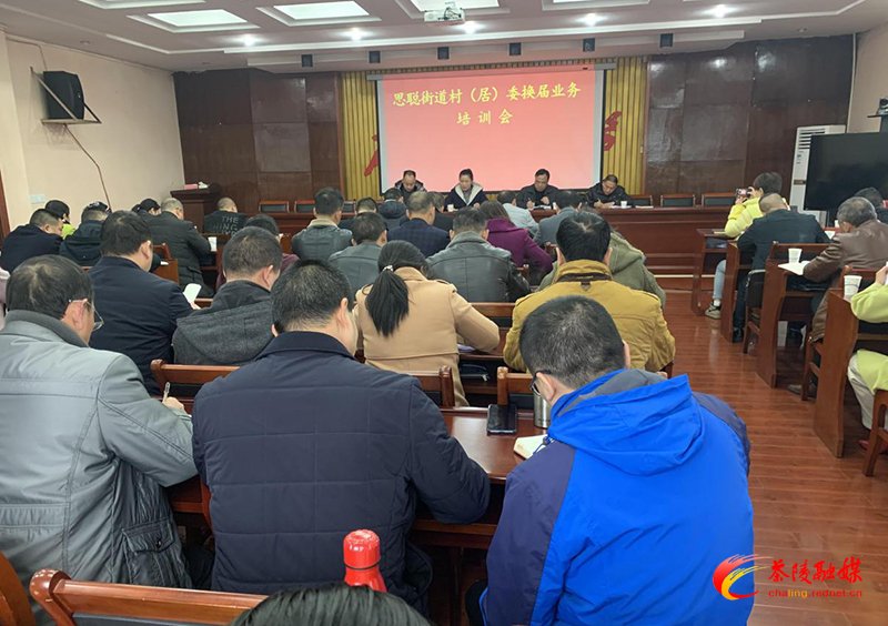 思聪街道召开村（社区）“两委”换届业务培训会
