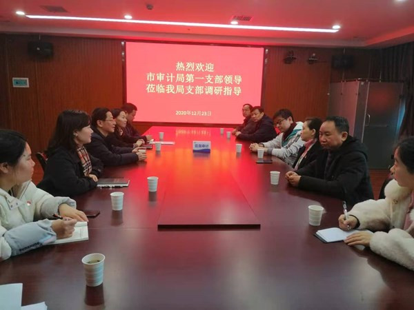 市审计局领导带支部联基层来到石峰区、云龙示范区