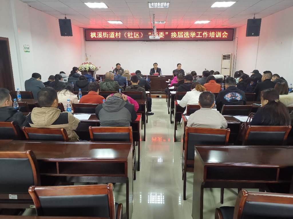 枫溪街道召开村（社区）“两委”换届选举工作培训会