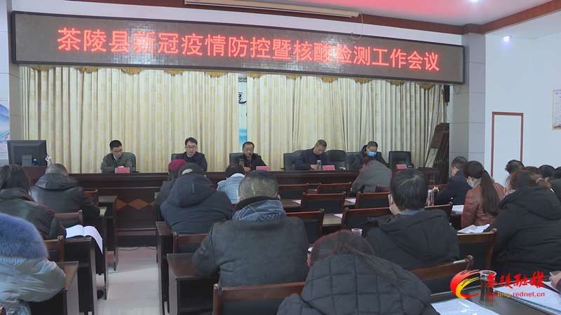 茶陵县新冠病毒核酸检测工作会议召开