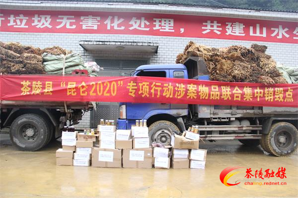 茶陵公安首次集中销毁食药环涉案物品