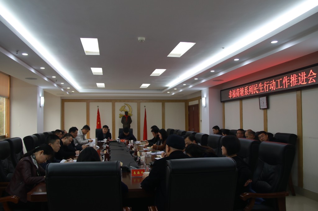 荷塘区召开幸福荷塘系列民生行动工作推进会