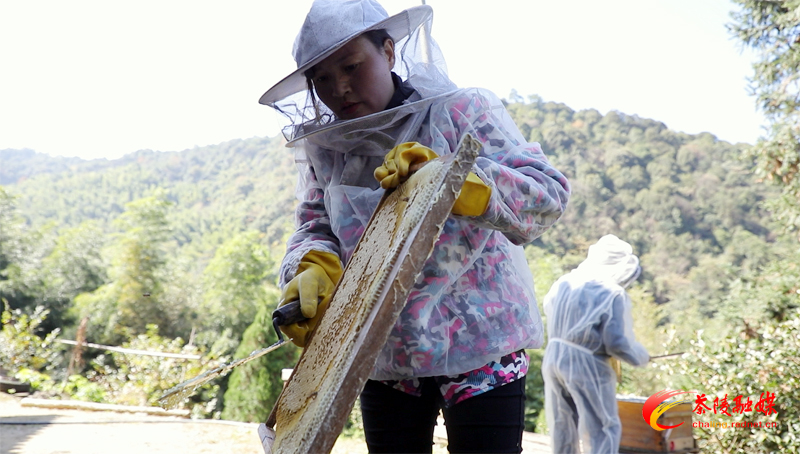 【闪耀在沃野中的青春】刘年花: “甜蜜产业”酿出美好生活