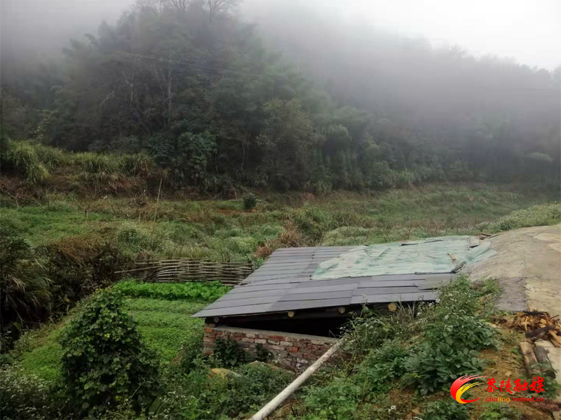 桃坑乡大力推进畜禽养殖废弃物资源化利用