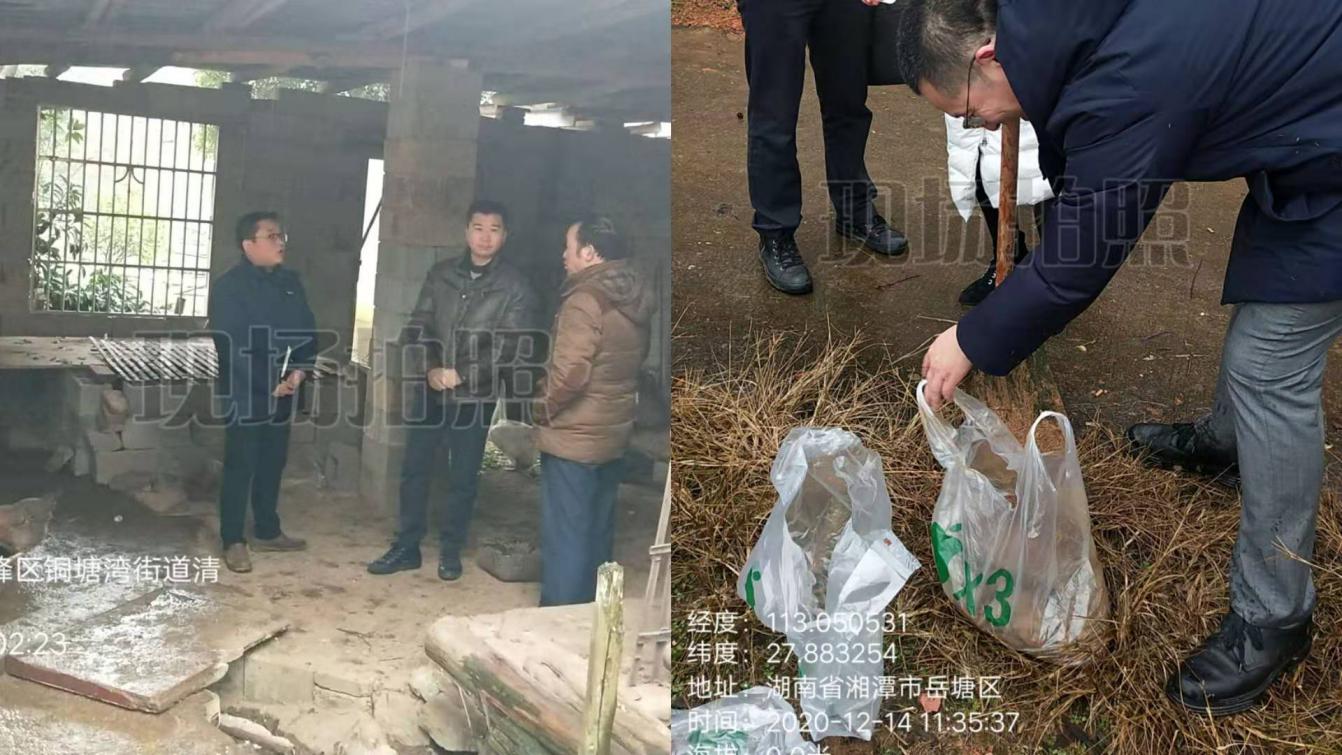 株洲市石峰区副区长彭梁现场督办交办问题解民忧