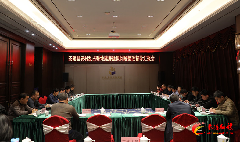 省督导组来茶督导农村乱占耕地建房疑似问题整改工作