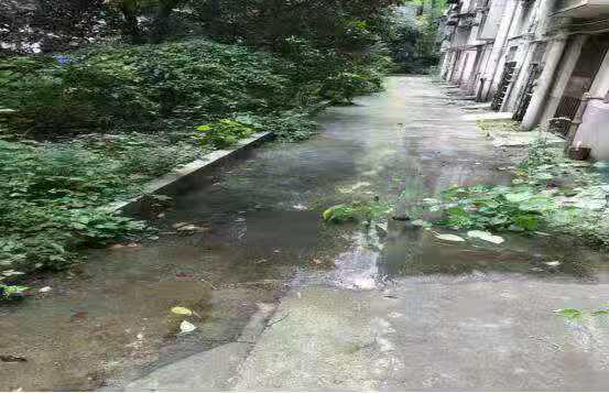 芦淞区老旧小区改掉“灰头土脸”，约8500余户居民受益