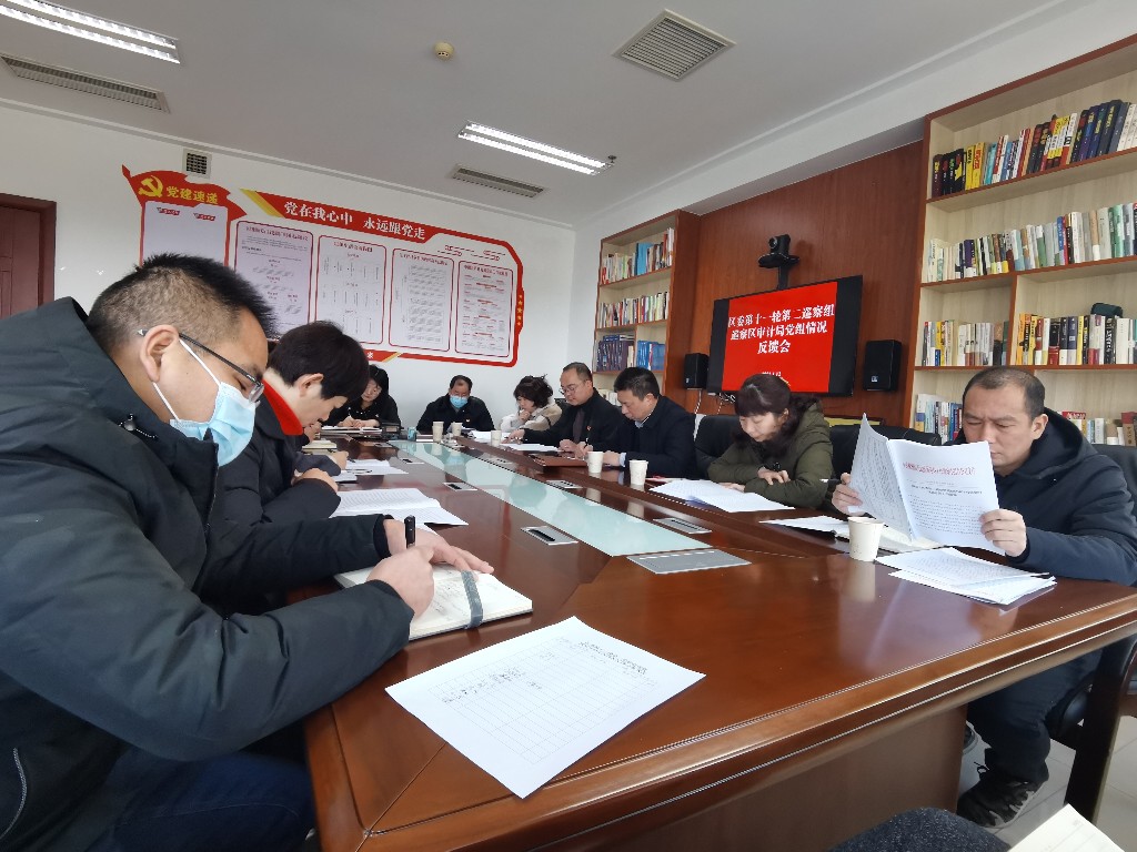 区委第二巡察组向区审计局党组反馈巡察意见