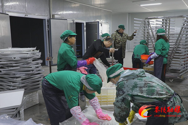 果月食品进行水果深加工推动农产品销售