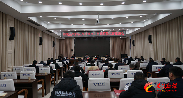 茶陵县农村乱占耕地建房问题整治工作推进会召开