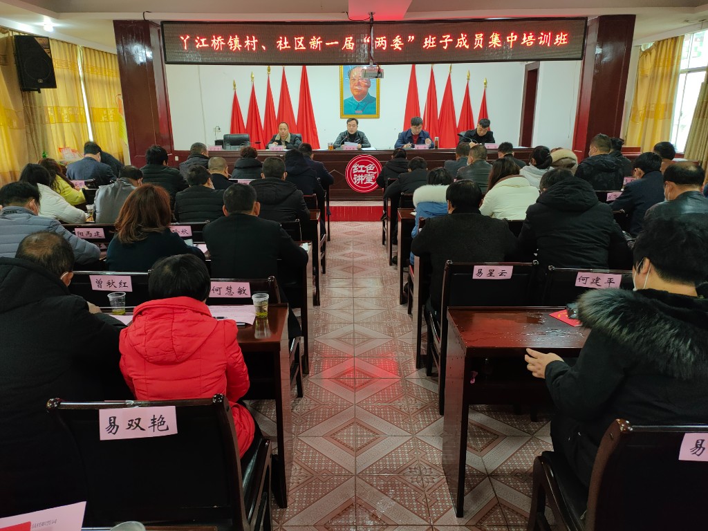 丫江桥镇举行村（社区）“两委”换届选举  “五个集中”活动