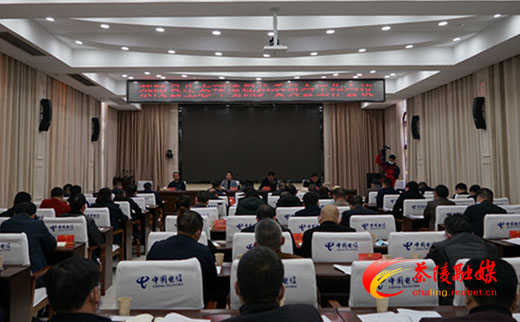茶陵县生态环境保护委员会工作会议召开