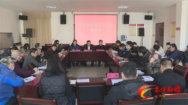 茶陵县文化文艺工作座谈会召开