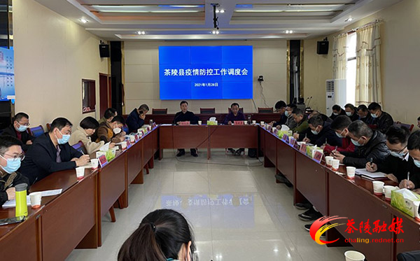茶陵县疫情防控工作调度会召开