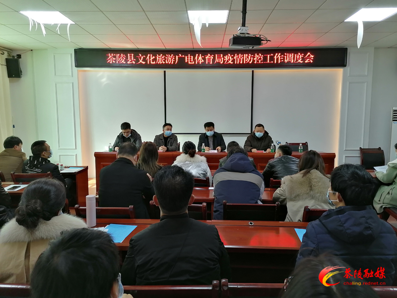 茶陵县文旅广体局：统一战线履职责 疫情防控献力量