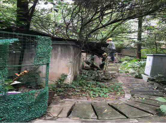 芦淞区老旧小区改掉“灰头土脸”，约8500余户居民受益