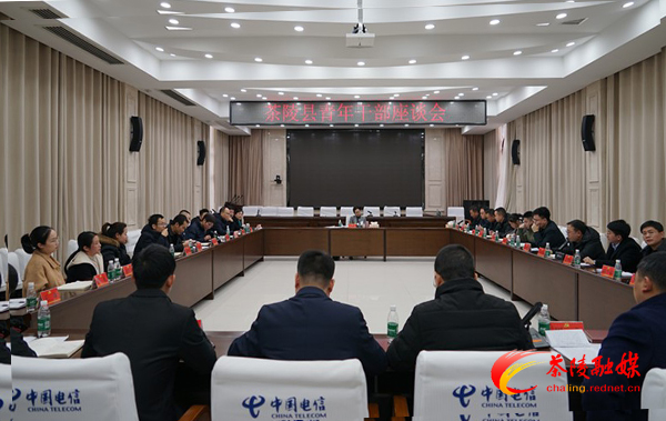 茶陵县青年干部座谈会召开