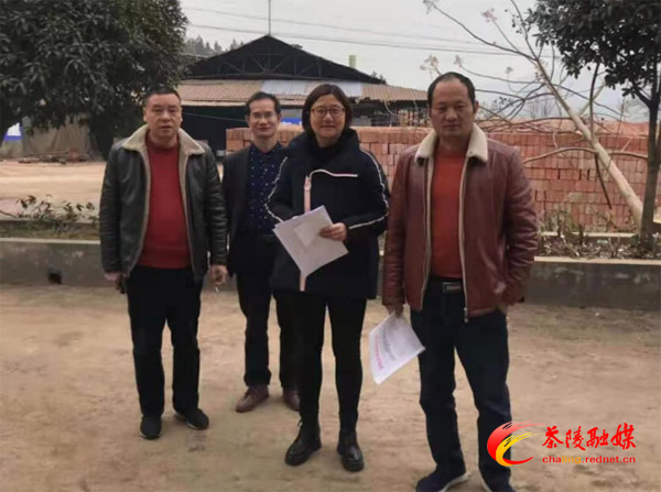 茶陵县林业局依法核实查处各类征占用林地行为