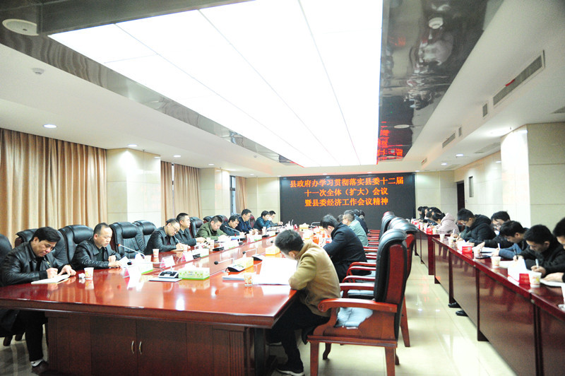 县政府办学习贯彻落实县委十二届十一次全体（扩大）会议暨县委经济工作会议精神
