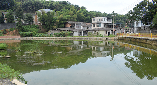 青山绿水丨湖南芦淞:打好蓝天碧水净土保卫战 擦亮生态底色