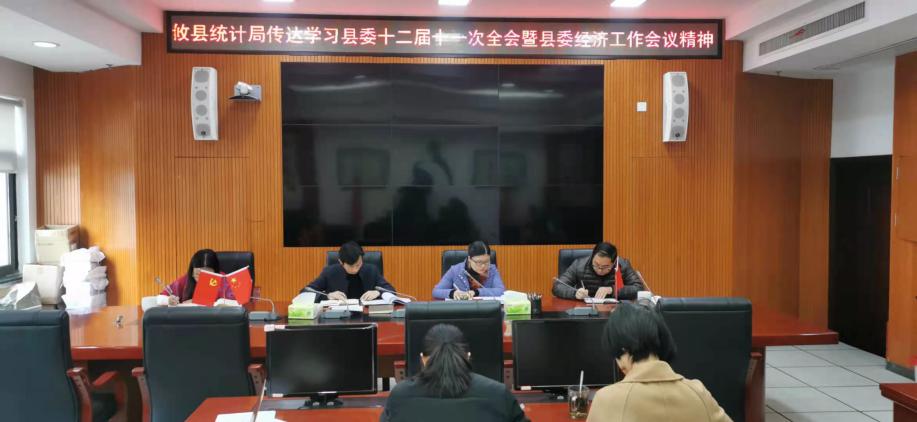 攸县统计局传达学习县委十二届十一次全会精神