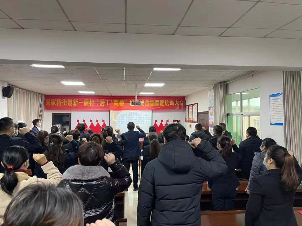 宋家桥街道召开新一届村(居)“两委”班子成员宣誓暨培训大会