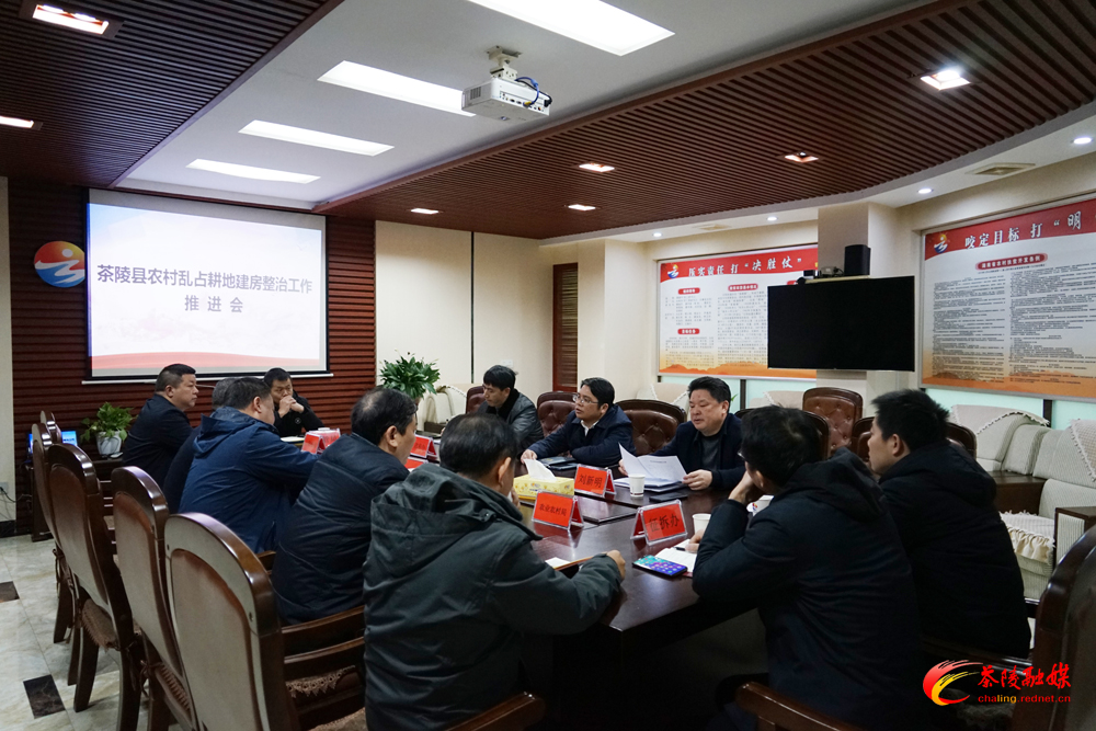茶陵县农村乱占耕地建房问题整治工作推进会召开