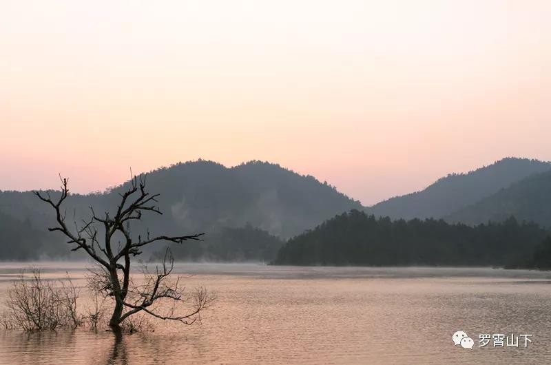 茶陵举行环东阳湖百里徒步巡湖 主题活动