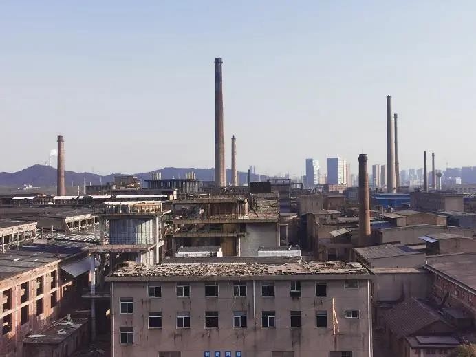 学习强国又点赞株洲