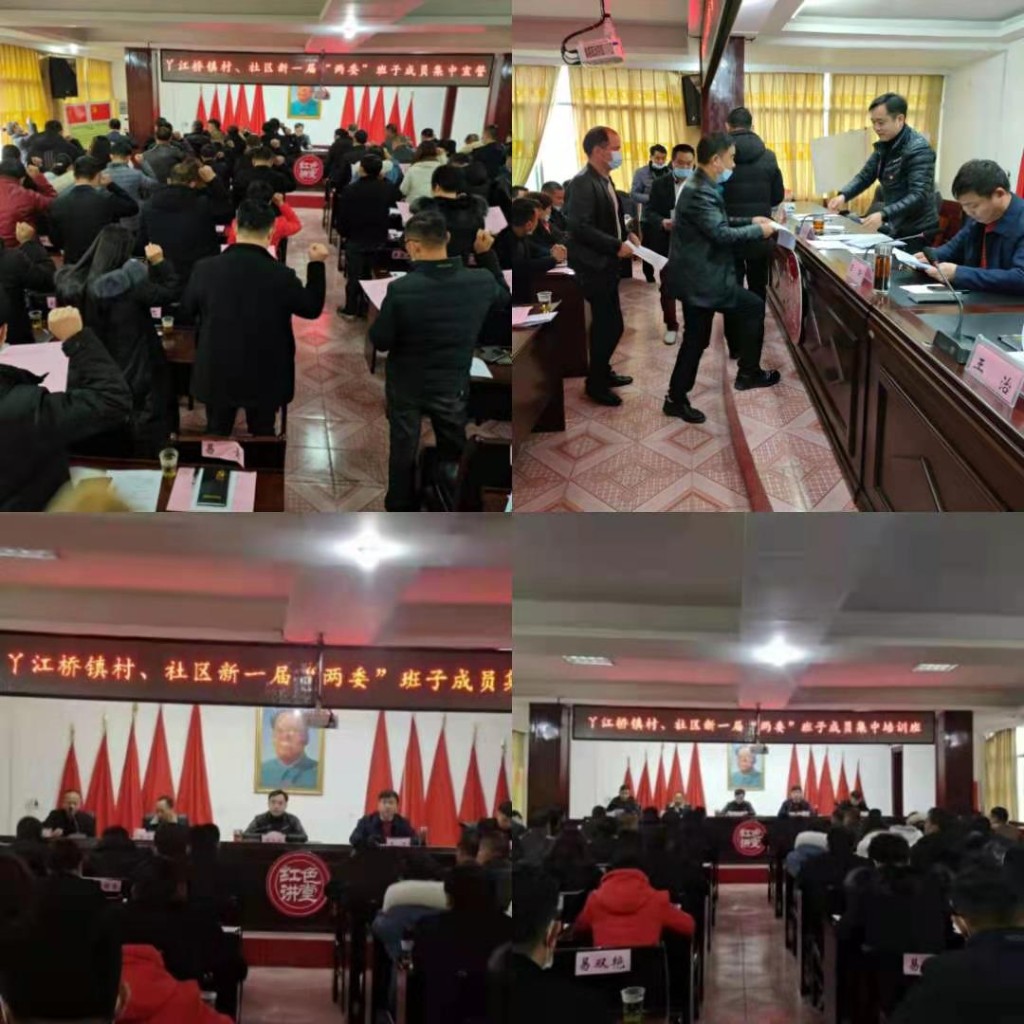 丫江桥镇举行村（社区）“两委”换届选举  “五个集中”活动