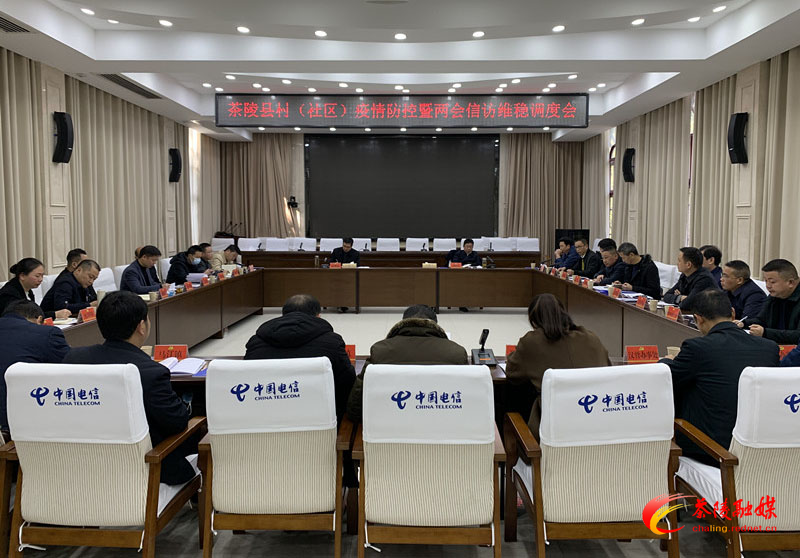 茶陵县村（社区）疫情防控暨“两会”信访维稳调度会召开
