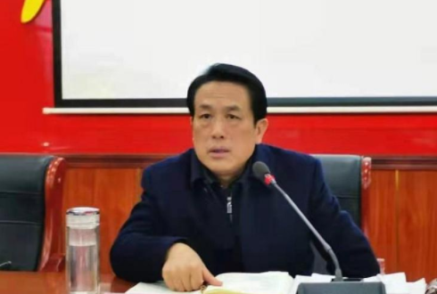 县委书记康月林调研网岭镇村(社区)“两委”换届工作