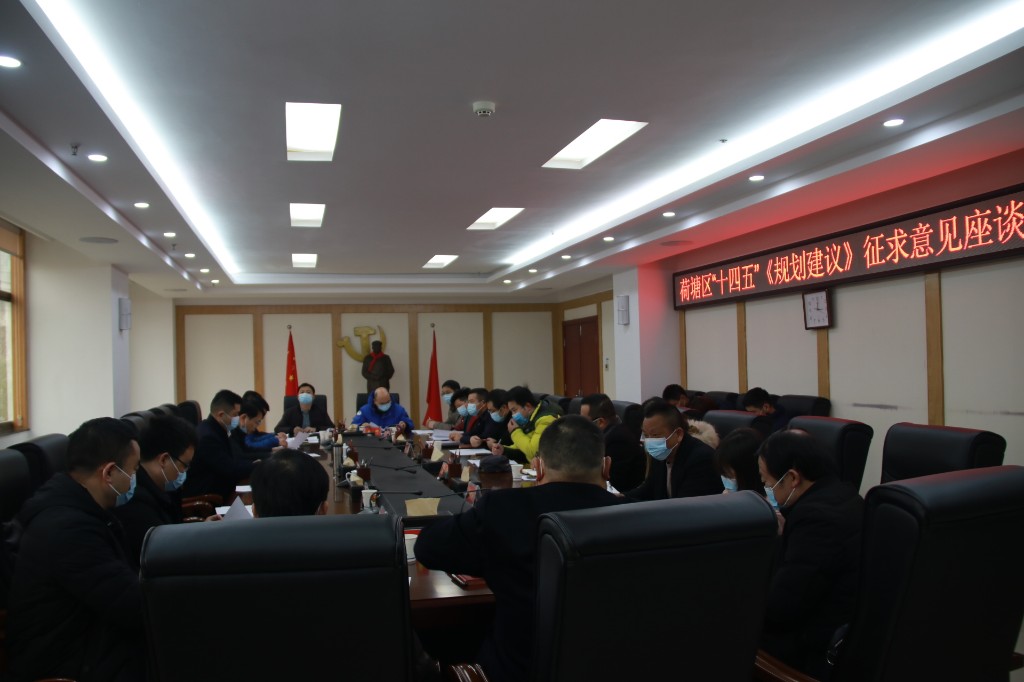荷塘区召开“十四五”《规划建议》 征求意见座谈会
