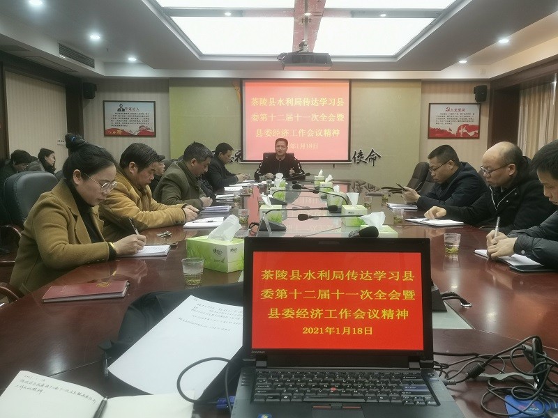 茶陵县水利局传达学习县委十二届十一次全会暨县委经济工作会议精神
