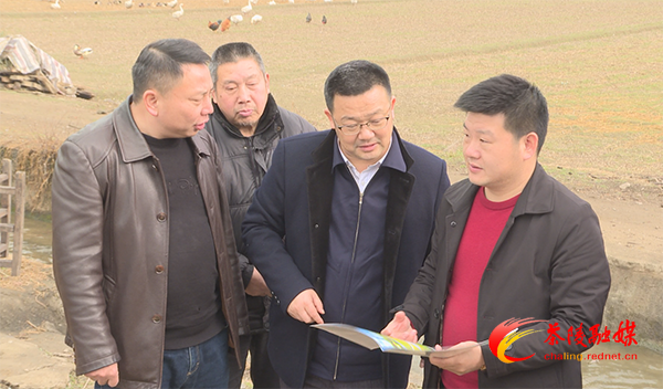 罗峰率队深入湖口镇调研宣传思想文化工作