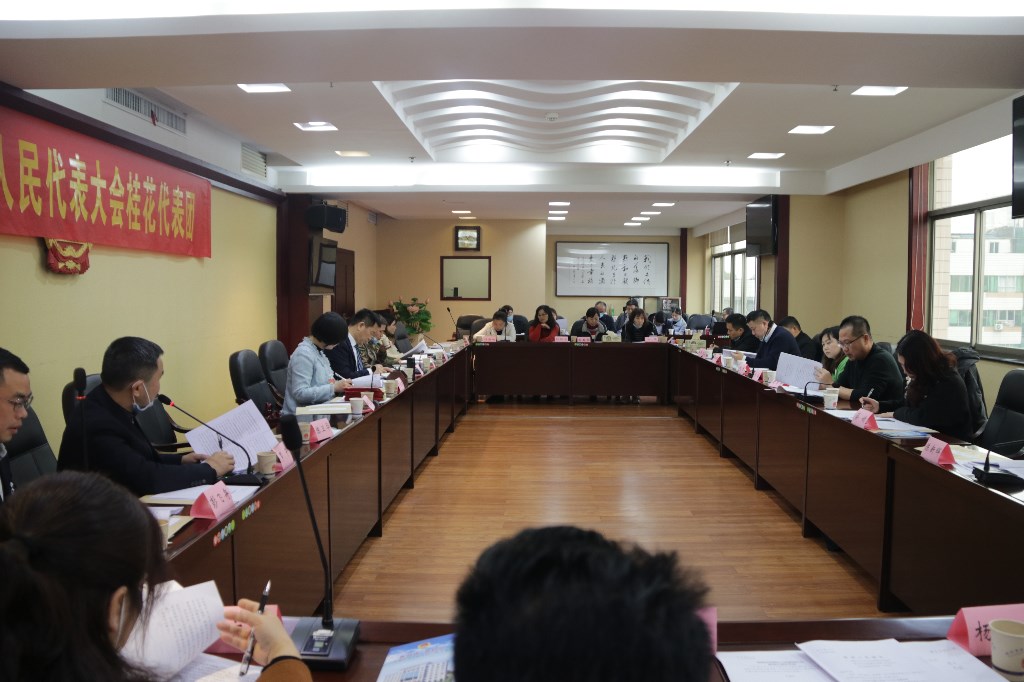 议报告谋发展话民生