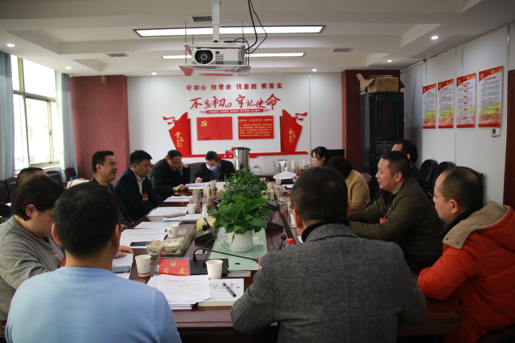 政协委员进行分组讨论 为荷塘发展建言献策