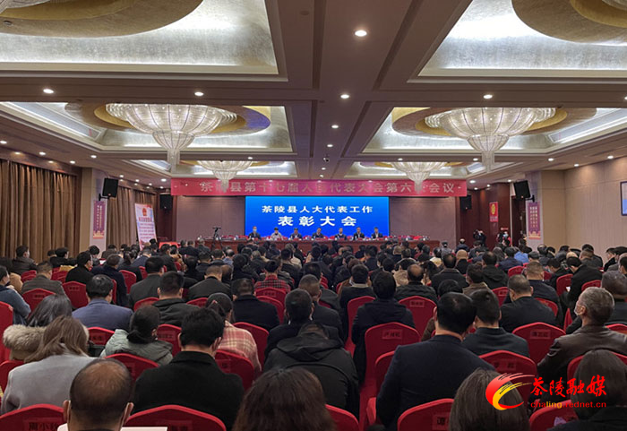 两会聚焦|茶陵县第十七届人民代表大会第六次会议：召开表彰会议
