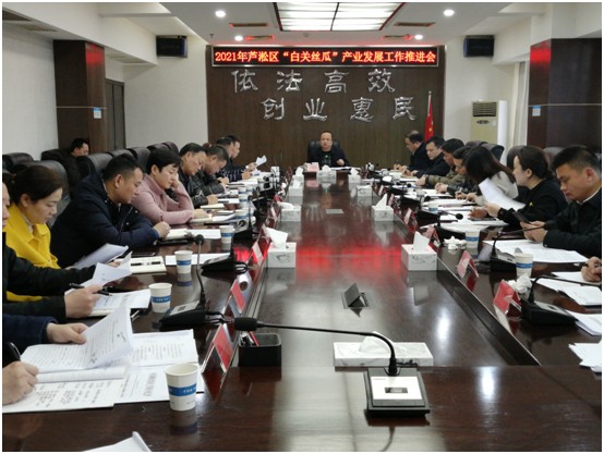 芦淞区:召开“白关丝瓜”产业发展工作推进会