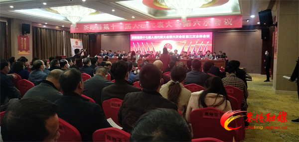 两会影像 | 茶陵县十七届人民代表大会第六次会议第三次全体会议