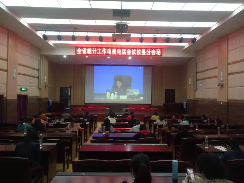 攸县参加全省统计工作电视电话会议