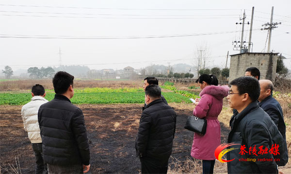 茶陵县强化巡查指导严禁秸秆焚烧